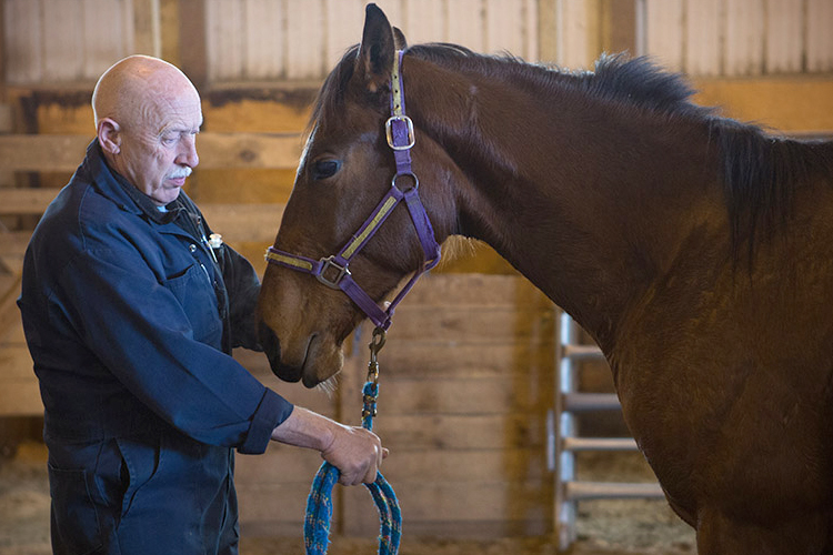 Dr. Pol standing with a horse as it dozes off from tranquilizer. (NGC/Michael Stankevich)
