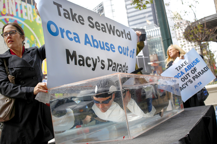 PETA activists demonstrate outside the Macy's Herald Square store protesting the plan for SeaWorld to have a float at the Macy's Thanksgiving Day Parade, October 23, 2013 (Reuters/Shannon Stapleton)