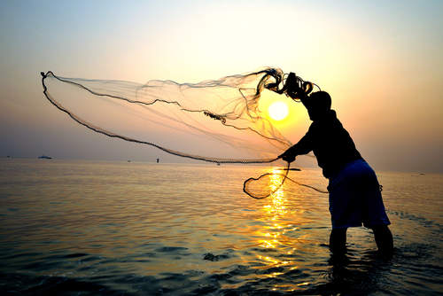 (Ekkachai/Shutterstock)
