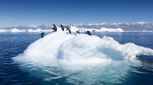 (Denis Burdin/Shutterstock)