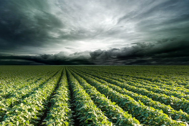 (<a href='http://www.shutterstock.com/gallery-78238p1.html'>Nejron Photo</a>, <a href='http://www.shutterstock.com/gallery-463675p1.html'>Fotokostic</a> via <a href='http://www.shutterstock.com/'>Shutterstock</a>/Salon)