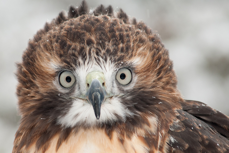 (<a href='http://www.shutterstock.com/multiple_users.mhtml'>jadimages</a> via <a href='http://www.shutterstock.com/'>Shutterstock</a>)