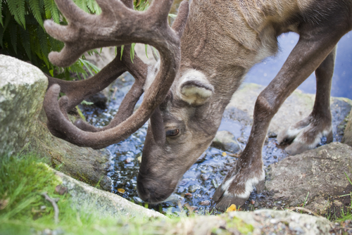 (jo Crebbin/Shutterstock)