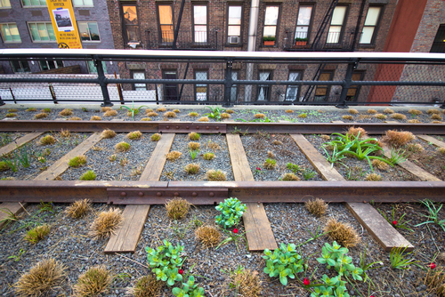 New York's High Line Park (littleny/Shutterstock)