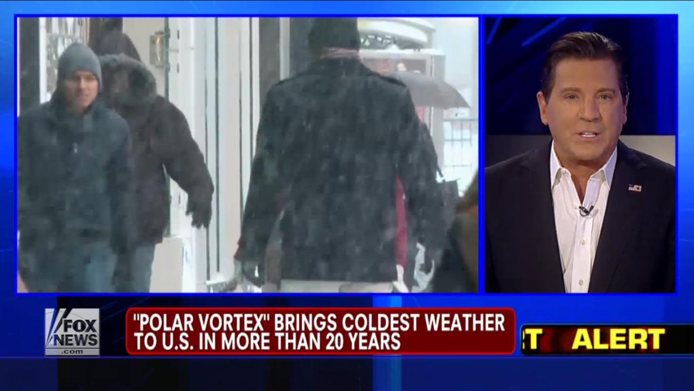 (Screenshot, Fox News)