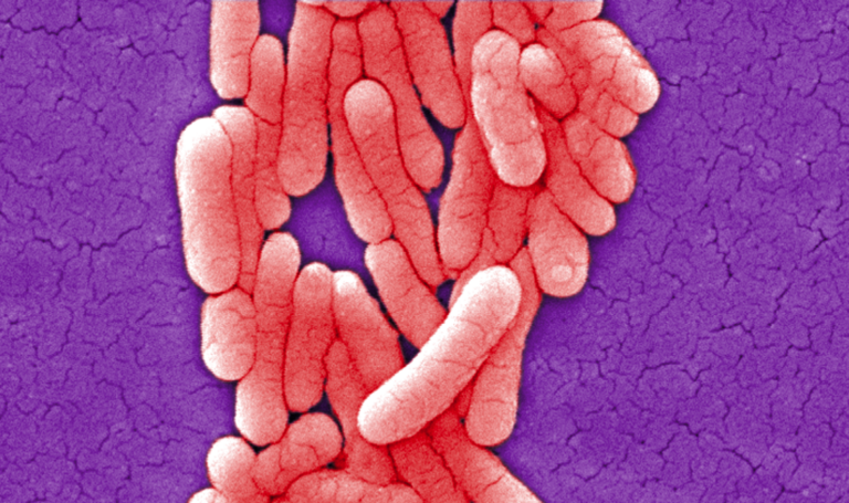 (CDC)