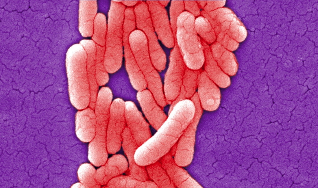 (CDC)