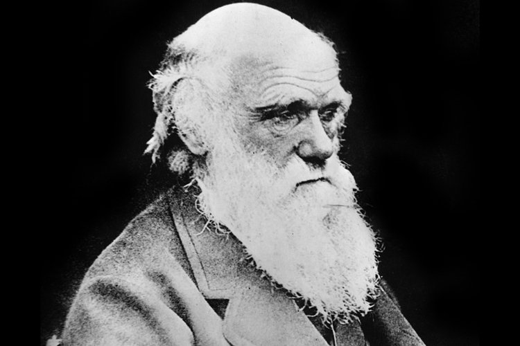 Charles Darwin (AP)