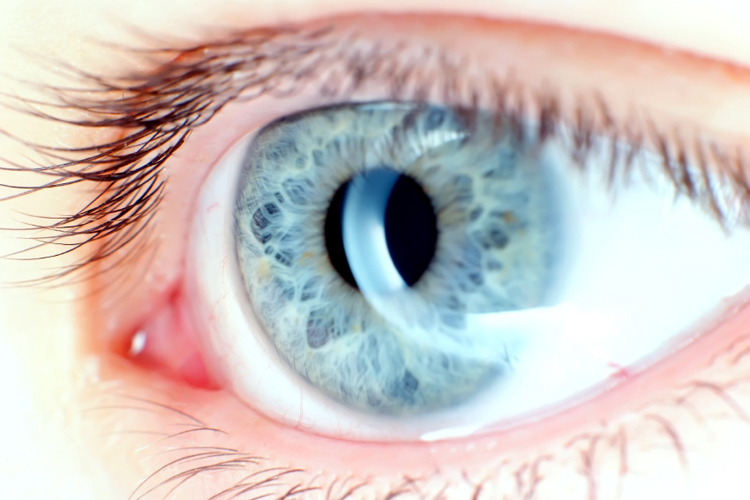 (<a href='http://www.istockphoto.com/user_view.php?id=376736'>circotasu</a> via <a href='http://www.istockphoto.com/'>iStock</a>)