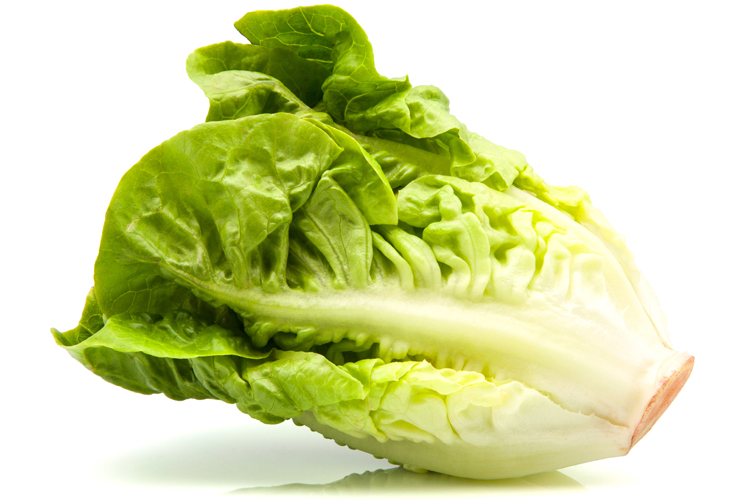 (<a href='http://www.shutterstock.com/gallery-752941p1.html'>stable</a> via <a href='http://www.shutterstock.com/'>Shutterstock</a>)