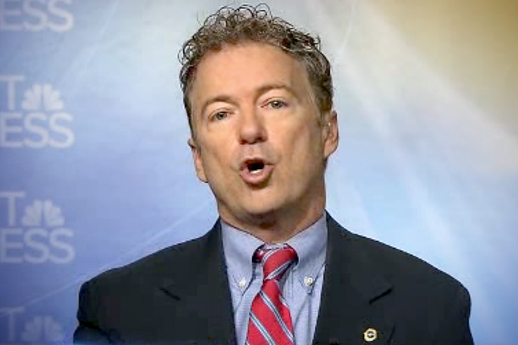 Rand Paul on "Meet the Press," January 26, 2014 (NBC News)