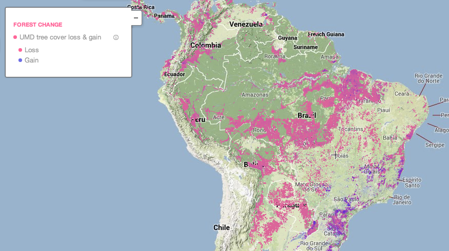 (Screenshot, Global Forest Watch)