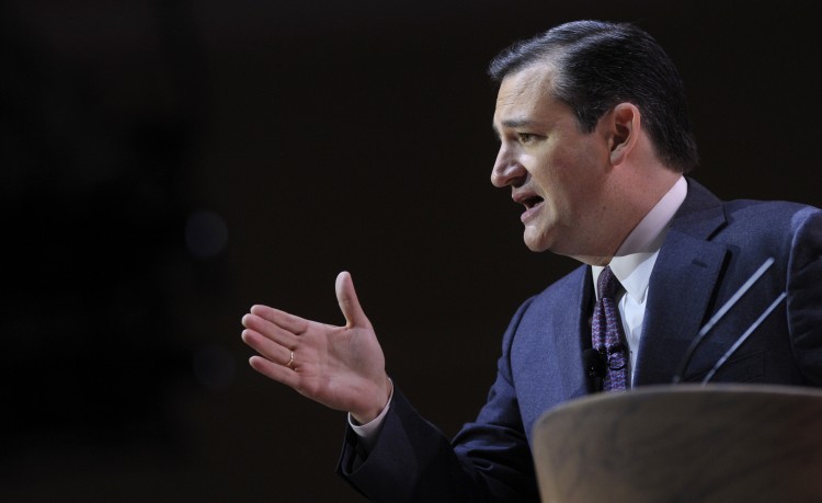 Sen. Ted Cruz (AP Photo/Susan Walsh)
