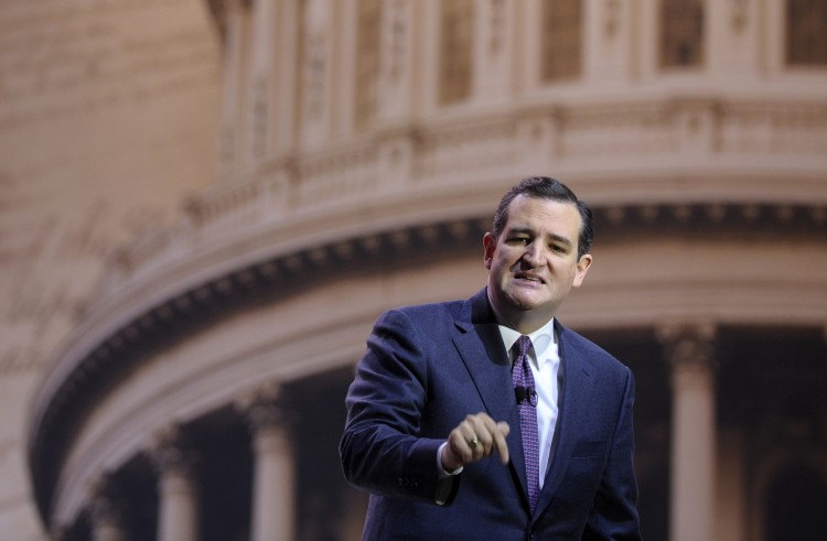 Sen. Ted Cruz, R-Texas (AP Photo/Susan Walsh)