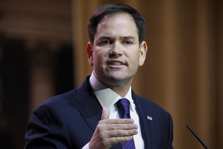Marco Rubio (AP/Susan Walsh)