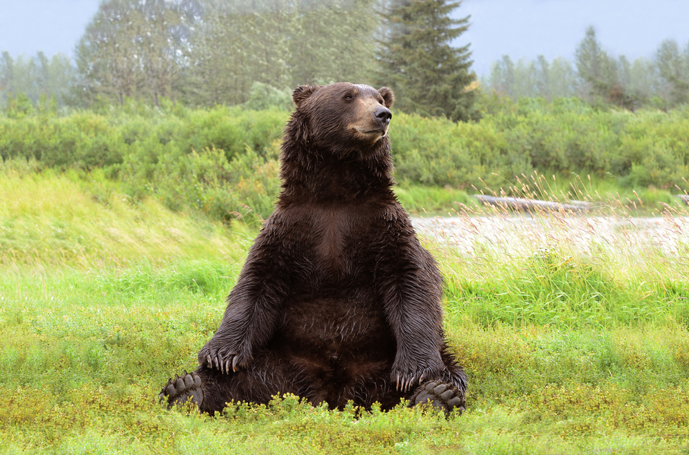 (Michael_K/Shutterstock)