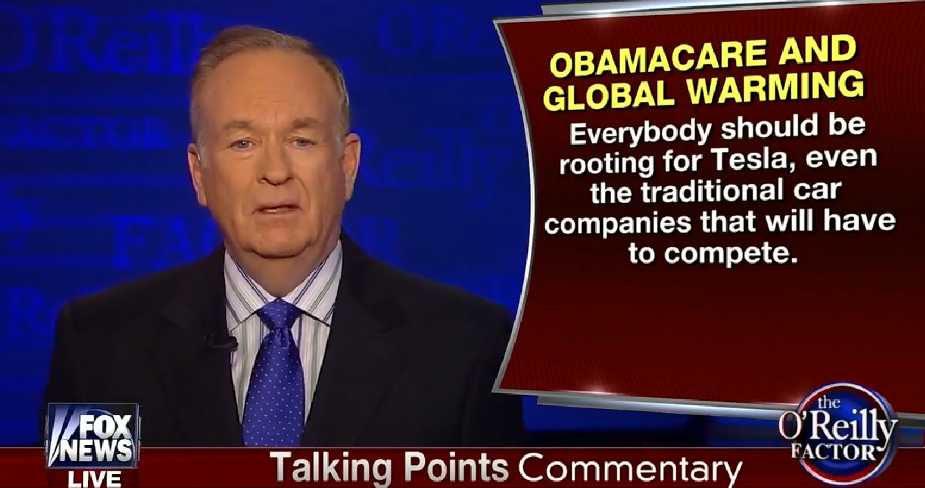(Screenshot, Fox News)