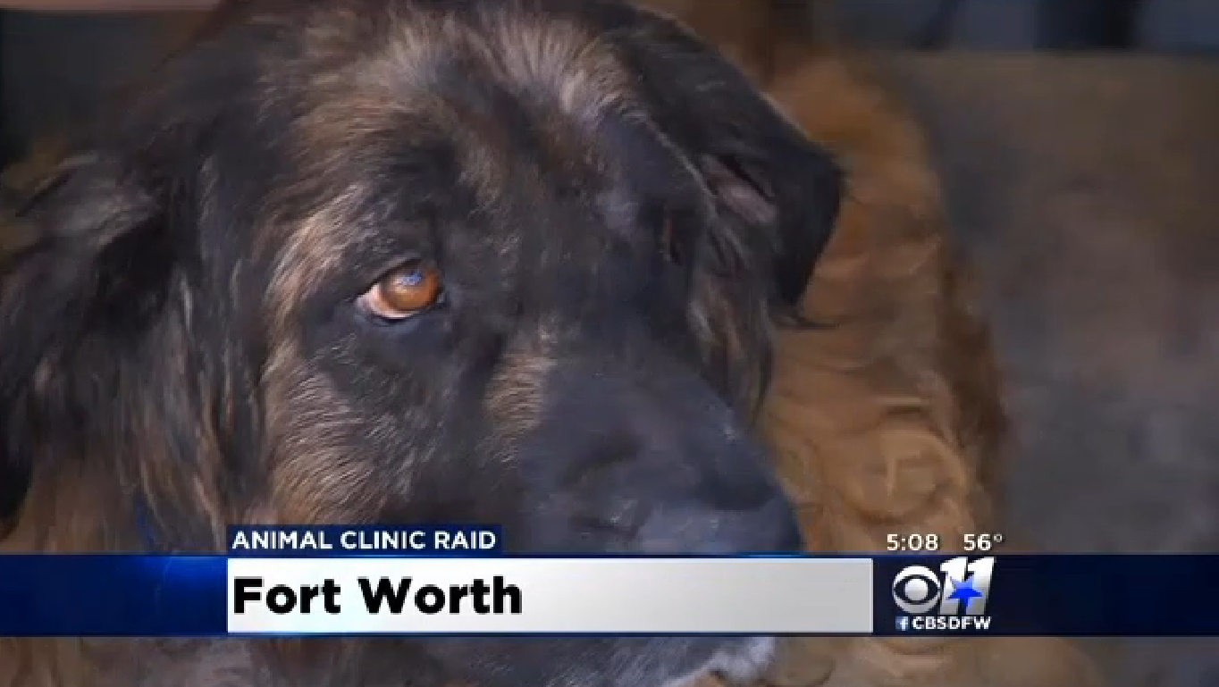 (Screenshot, CBS Local)