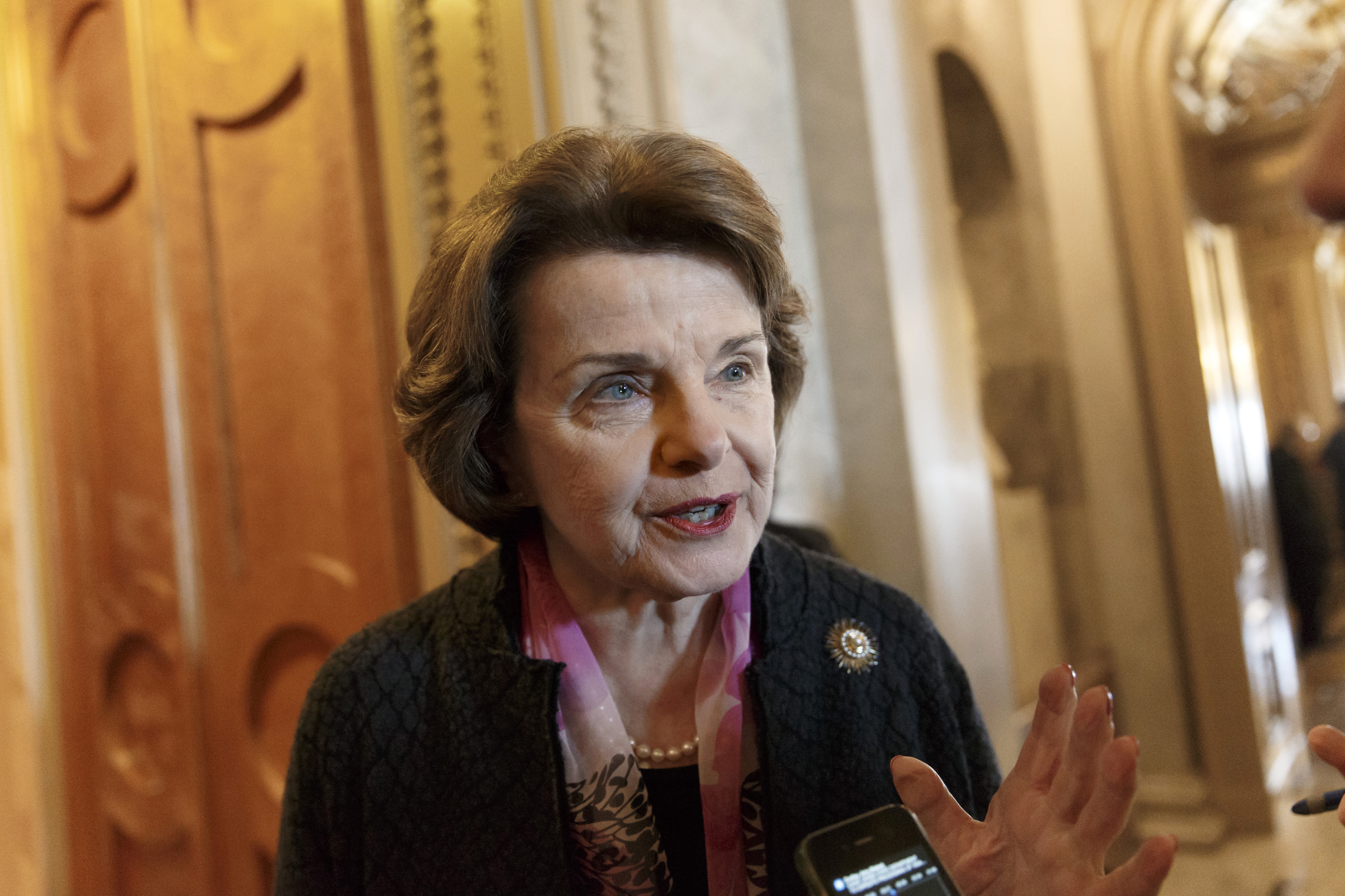 Senate Intelligence Committee Chair Sen. Dianne Feinstein, D-Calif. (AP)