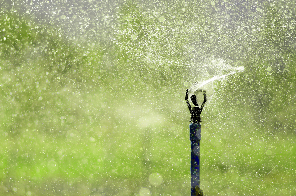 (Tanawat Pontchour/Shutterstock)