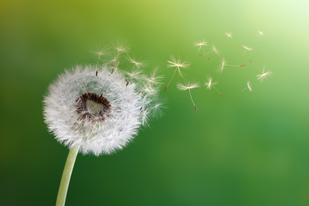 (Brian A Jackson/Shutterstock)
