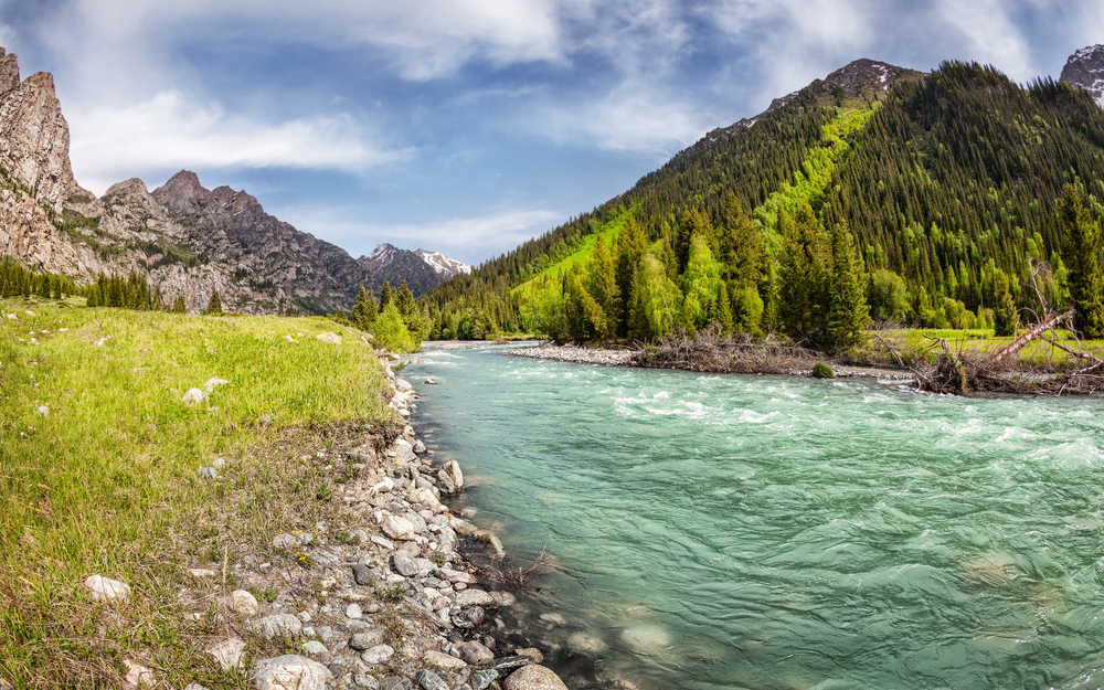 (Pikoso.kz/Shutterstock)