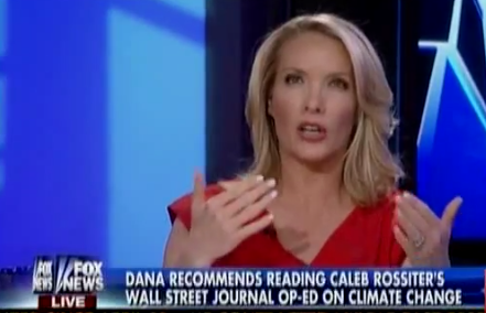 (Screenshot, Fox News)