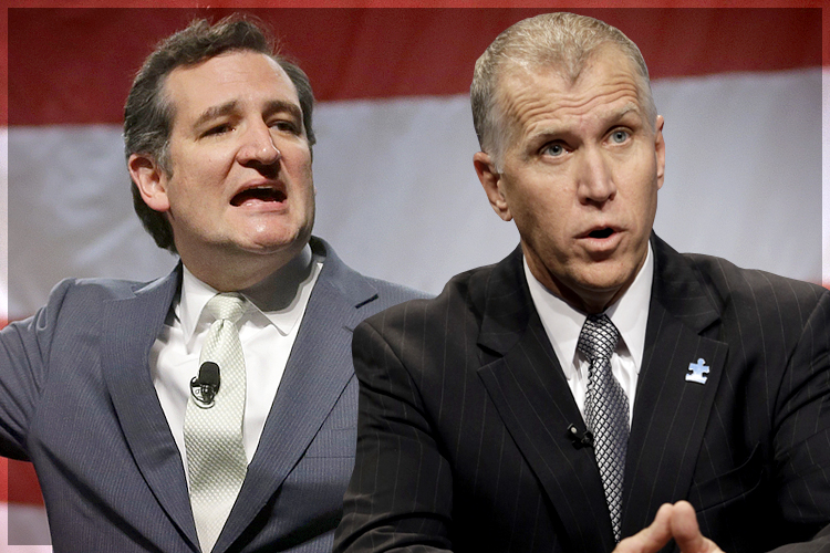 Ted Cruz, Thom Tillis (AP/Rick Bowmer/Gerry Broome/photo collage by Salon)