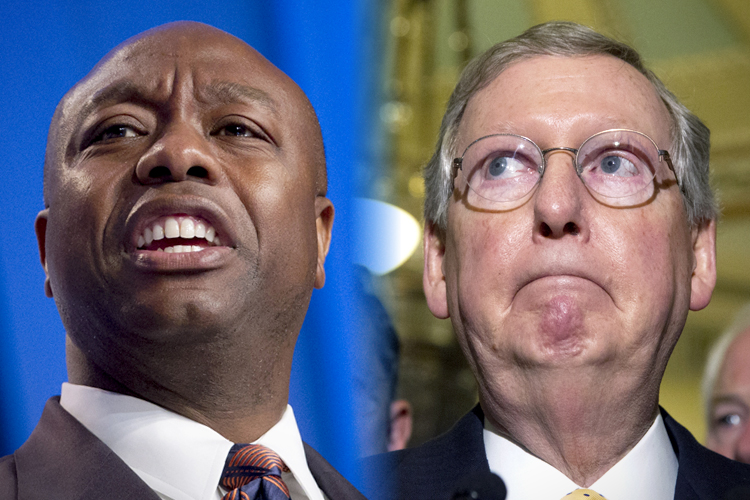Tim Scott, Mitch McConnell (AP/Jose Luis Magana/Manuel Balce Ceneta)