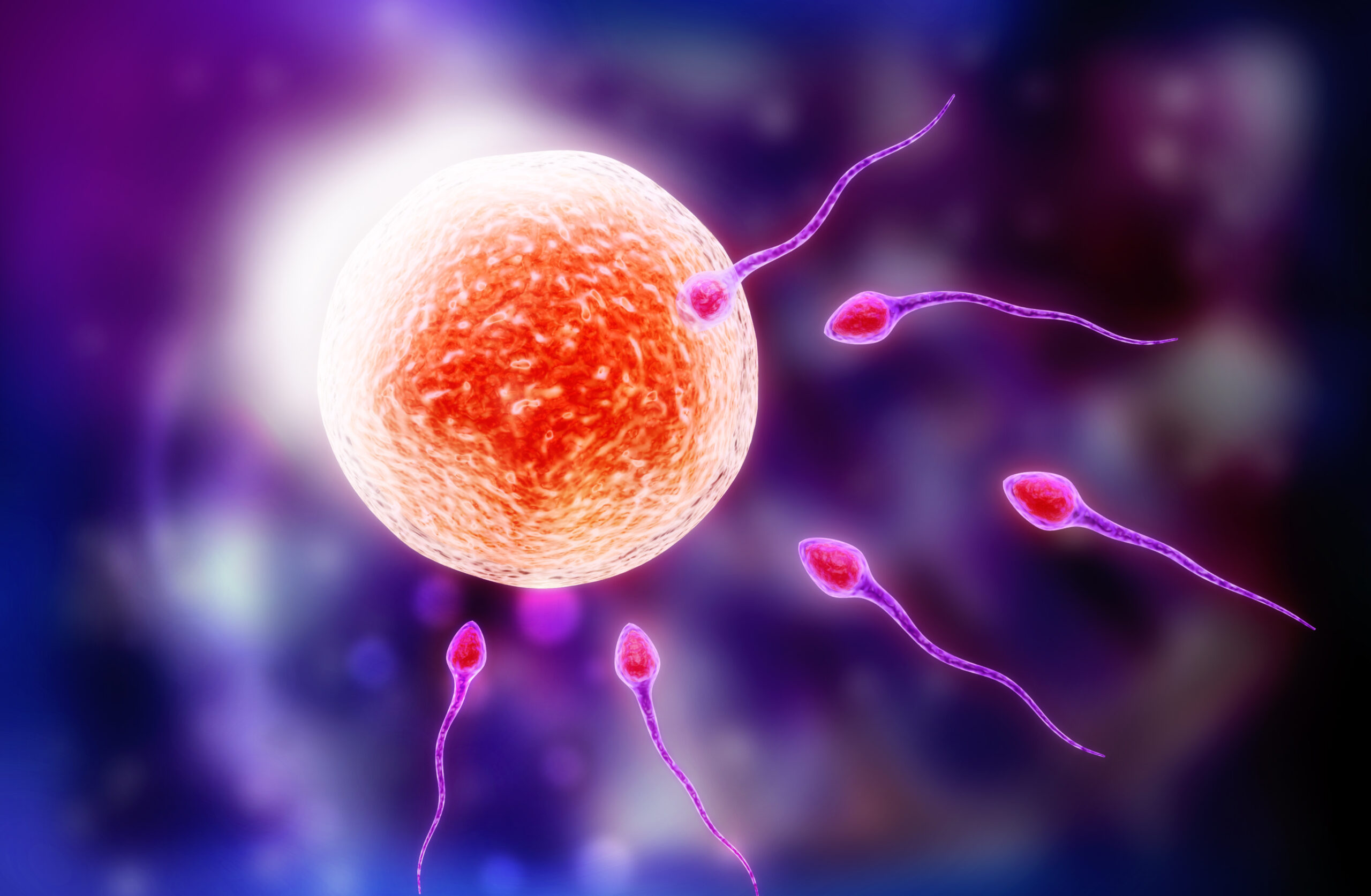 (Shutterstock)