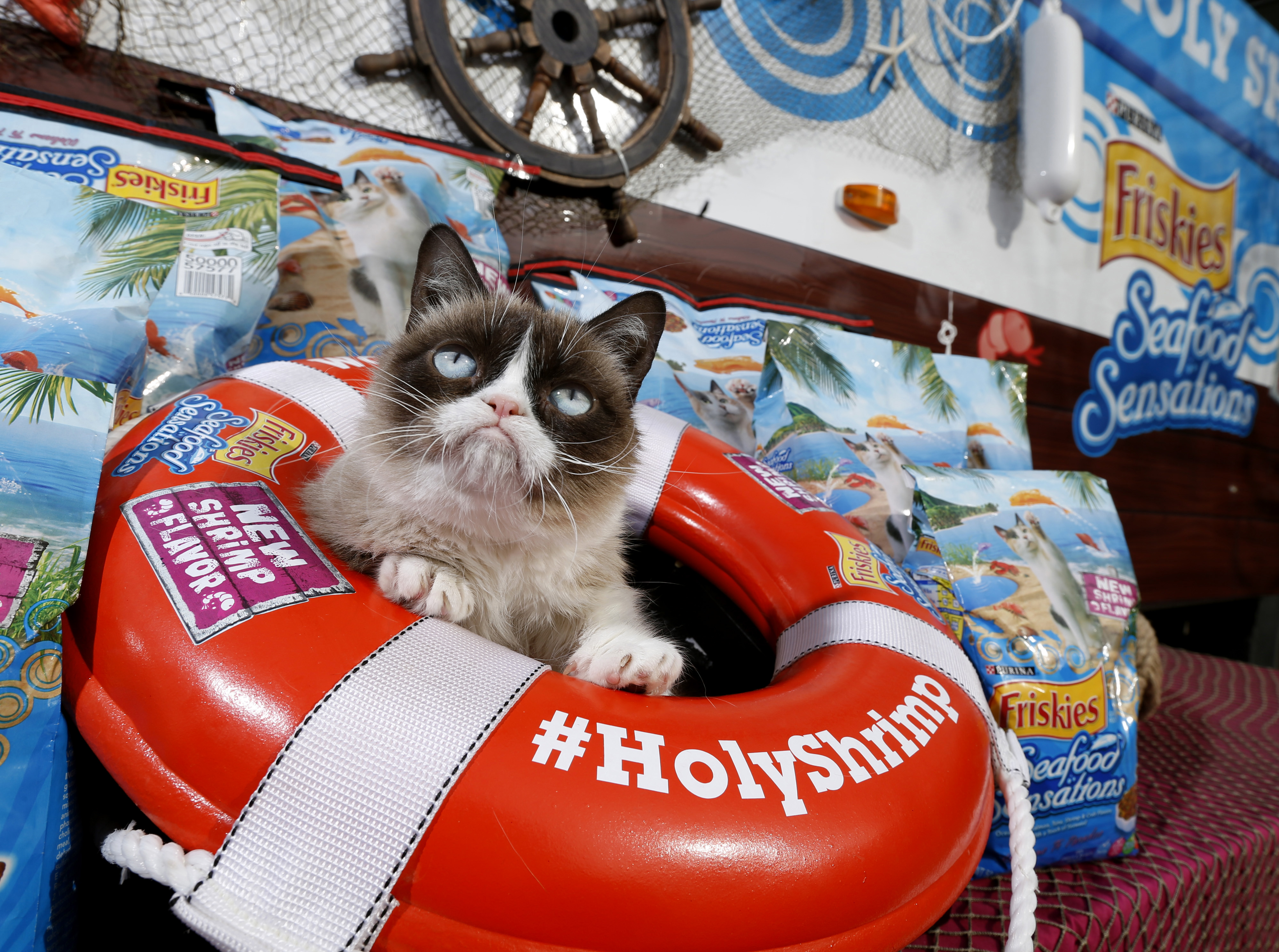 (Erich Schlegel/AP Images for Friskies) (Erich Schlegel)