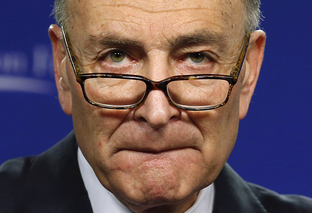 Sen. Chuck Schumer (Reuters/Yuri Gripas)