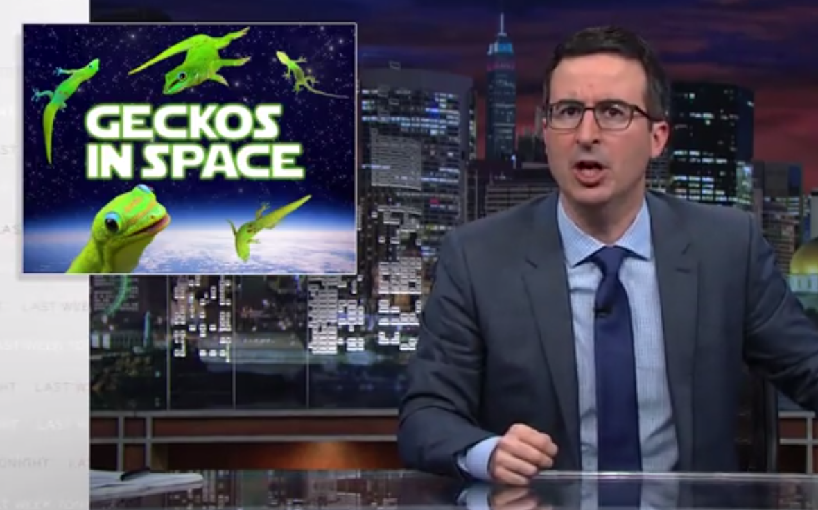 John Oliver on space geckos (screenshot)