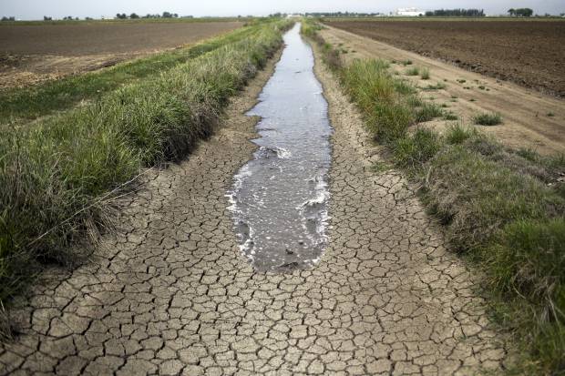 FILE - In this May 1, 2014 photo, irrigation water runs along a dried-up ditch between rice farms in Richvale, Calif. (AP/Jae C. Hong)