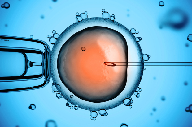 (<a href='http://www.istockphoto.com/user_view.php?id=6443300'>koya79</a> via <a href='http://www.istockphoto.com/'>iStock</a>)
