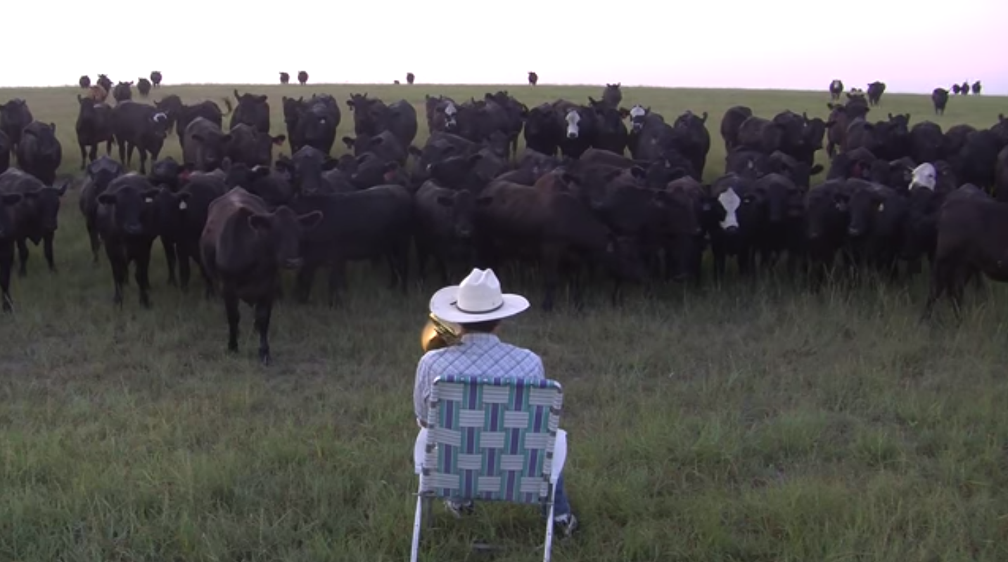 (Screenshot, Farmer Derek Klingenberg)