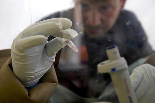 A scientist separates blood cells from plasma cells to isolate any Ebola RNA in order to test for the virus. (Reuters/Misha Hussain)