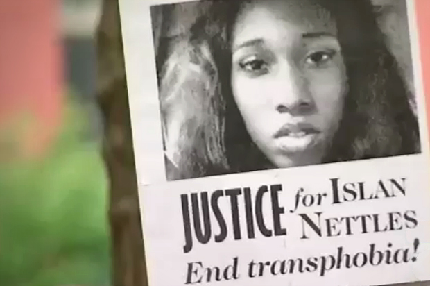 (ABC News)