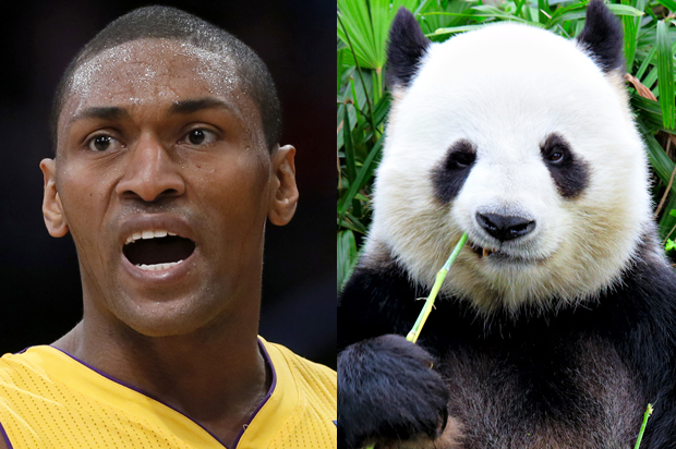 A Pandas Friend, a panda (Reuters/Lucy Nicholson/<a href='http://www.shutterstock.com/gallery-496018p1.html'>leungchopan</a> via <a href='http://www.shutterstock.com/'>Shutterstock</a>)