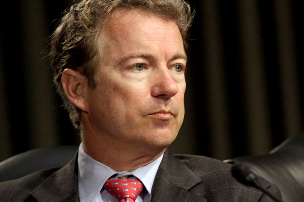 Rand Paul (AP/Lauren Victoria Burke)