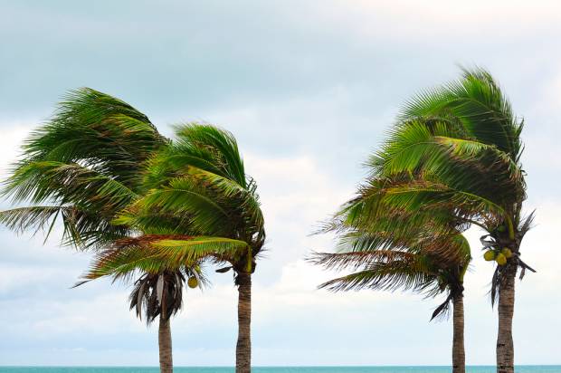 (<a href='url to photographer'>behindlens</a> via <a href='http://www.shutterstock.com/'>Shutterstock</a>)