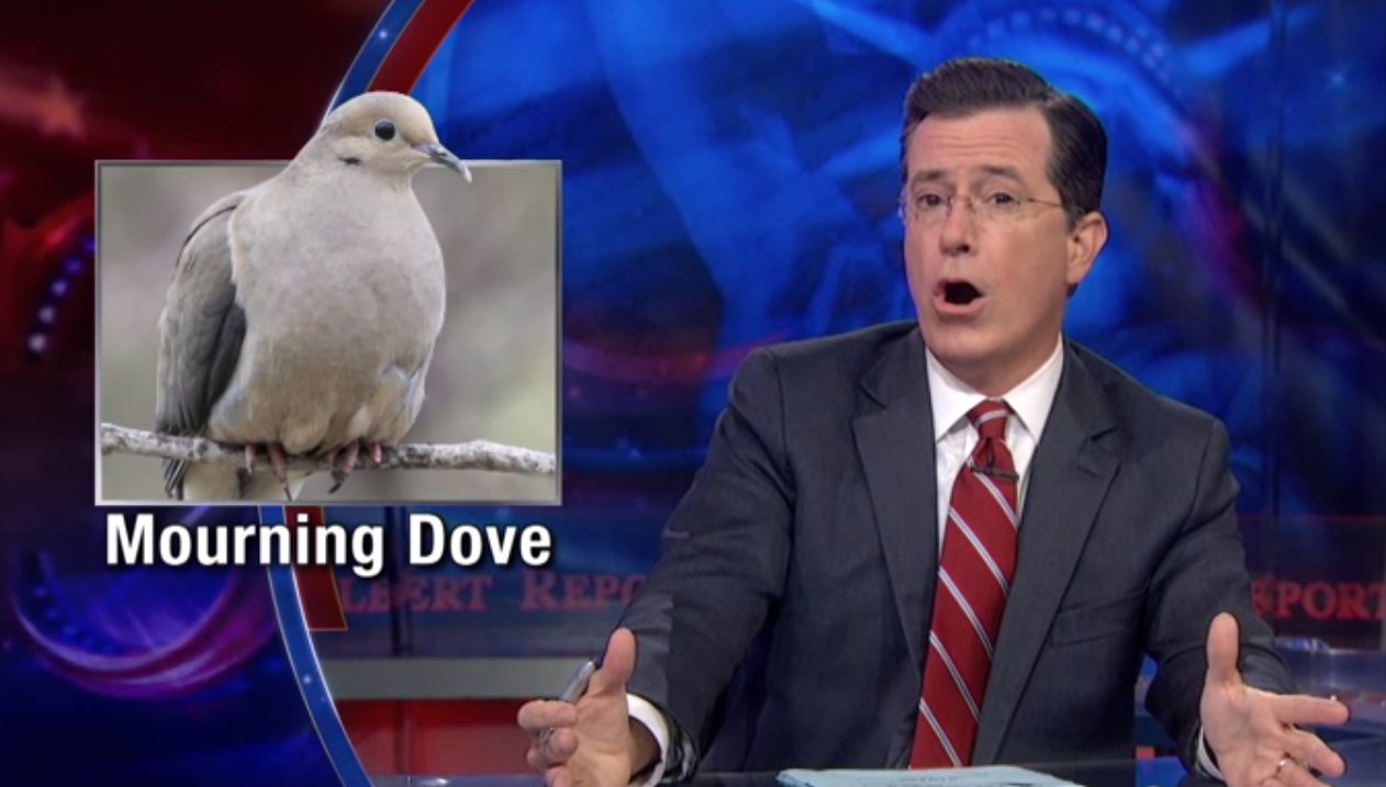 Stephen Colbert (screenshot/"The Colbert Report")