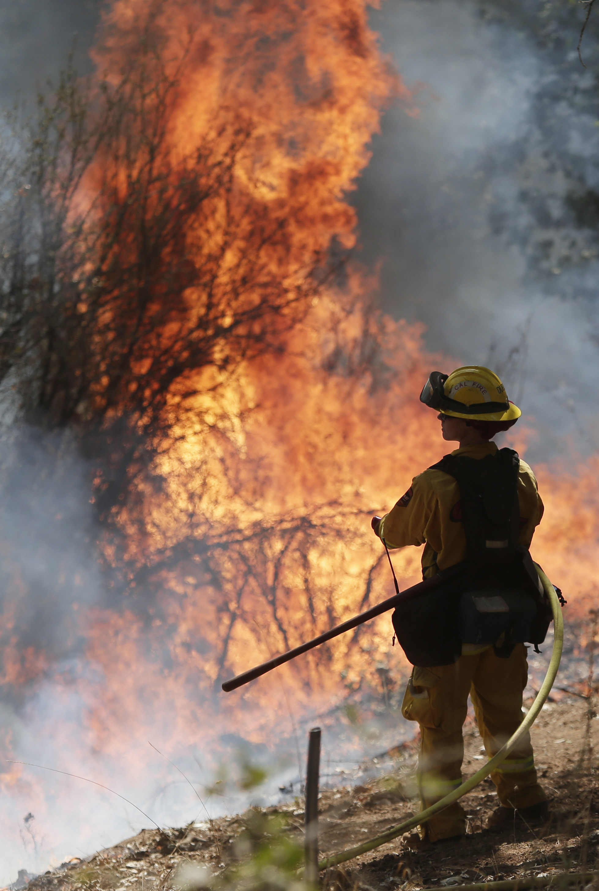 Flames from a controlled burn engulf a hillside as a firefighter watches while fighting the King Fire on Tuesday, Sept. 23, 2014, in Mosquito, Calif. Strike teams from Fresno and El Dorado Cal Fire worked in conjunction with department of corrections crews in an offensive firing tactic, intended to take away fuel from the main fire.  (AP Photo/Marcio Jose Sanchez) (AP)