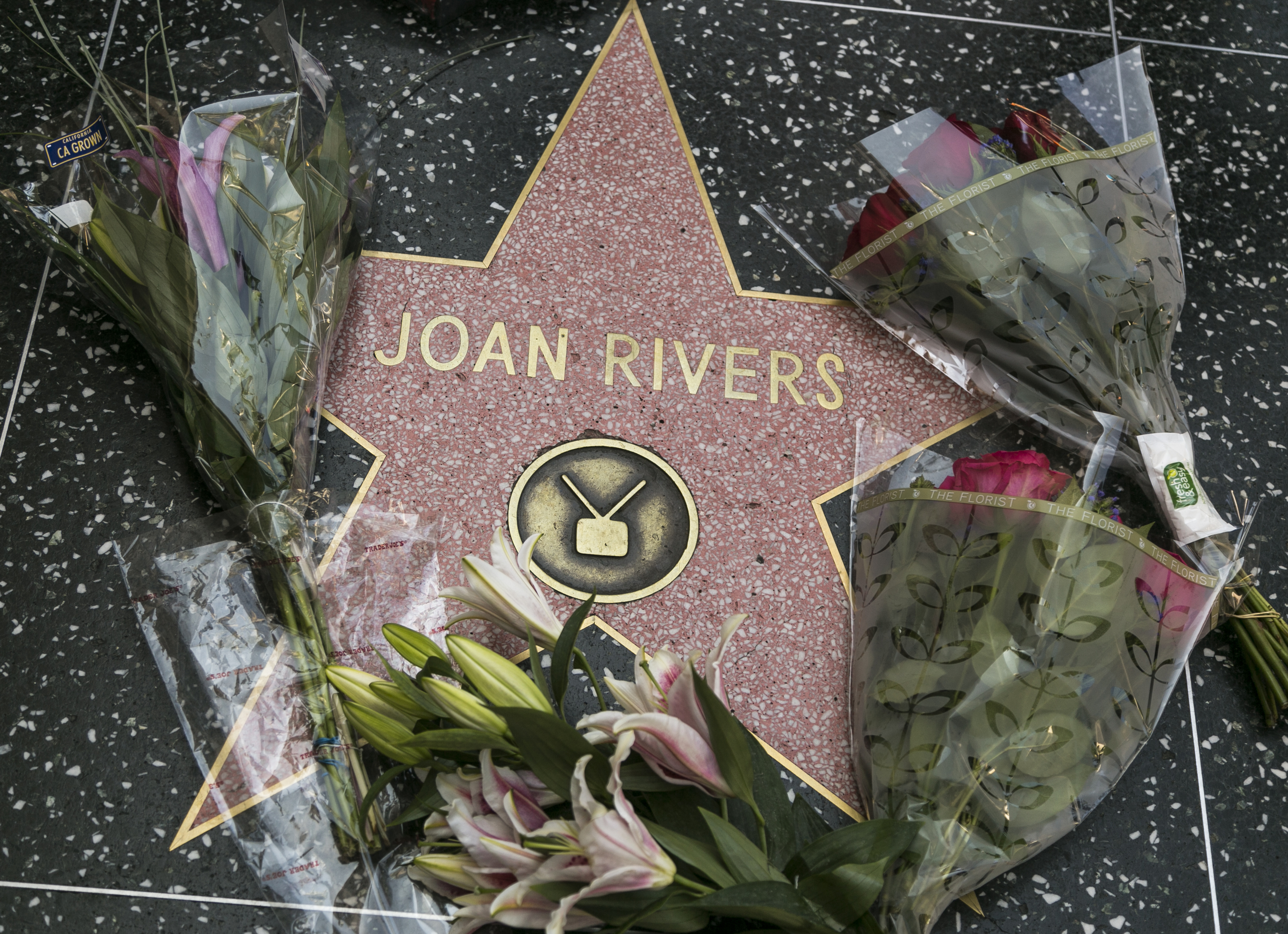 Flowers surround Joan Rivers' star on the Hollywood Walk of Fame in Los Angeles Thursday, Sept. 4, 2014. Rivers, the raucous, acid-tongued comedian who crashed the male-dominated realm of late-night talk shows and turned Hollywood red carpets into danger zones for badly dressed celebrities, died Thursday. She was 81.  (AP Photo/Damian Dovarganes) (AP)