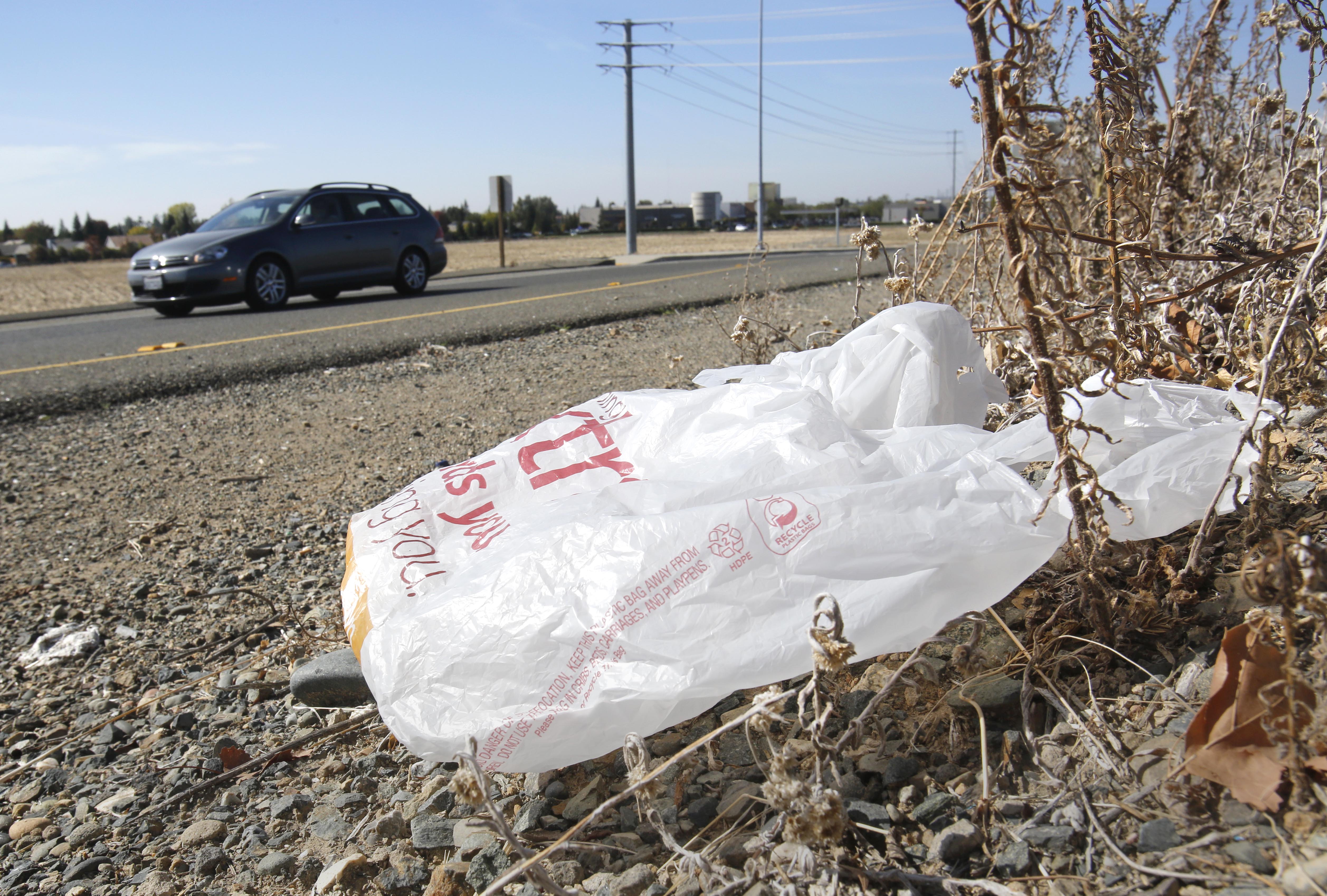 FILE-In this file photo taken Friday, Oct. 25, 2013, a plastic shopping bag liters the roadside in Sacramento, Calif. Gov. Jerry Brown has signed legislation on Tuesday, Sept. 30, 2014 imposing the nation's first statewide ban on single-use plastic bags.  (AP Photo/Rich Pedroncelli) (AP)