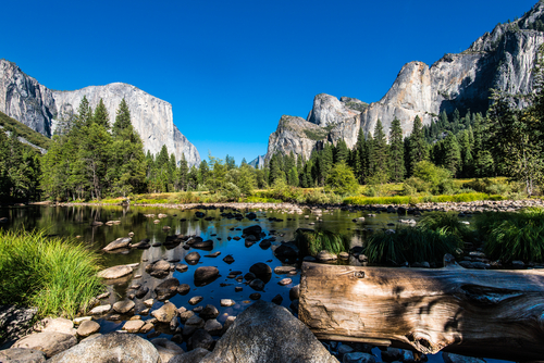 Yosemite National Park