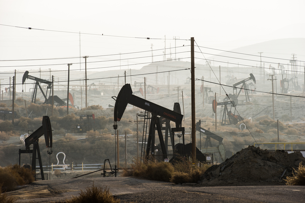 (Christopher Halloran/Shutterstock)