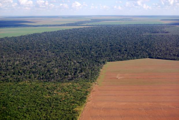 Aerial view of a large soy field eating into the tropical rainforest in Brazil (<a href='url to photographer'>Frontpage</a> via <a href='http://www.shutterstock.com/'>Shutterstock</a>)