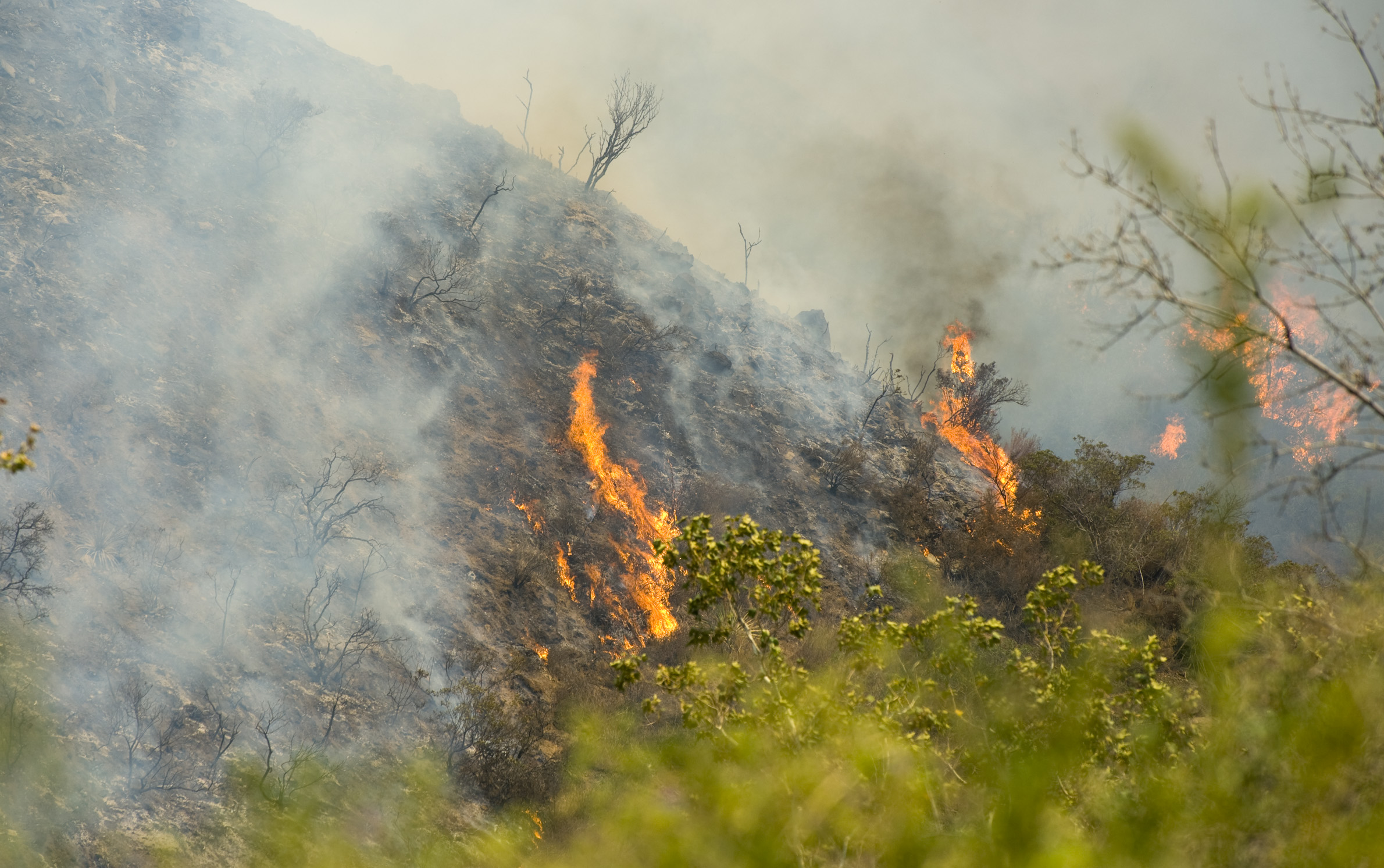 Flames burn a steep canyon in Silverado Canyon in Orange County, Calif. on Friday, Sept. 12, 2014. (AP/Orange County Register, Sam Gangwer)