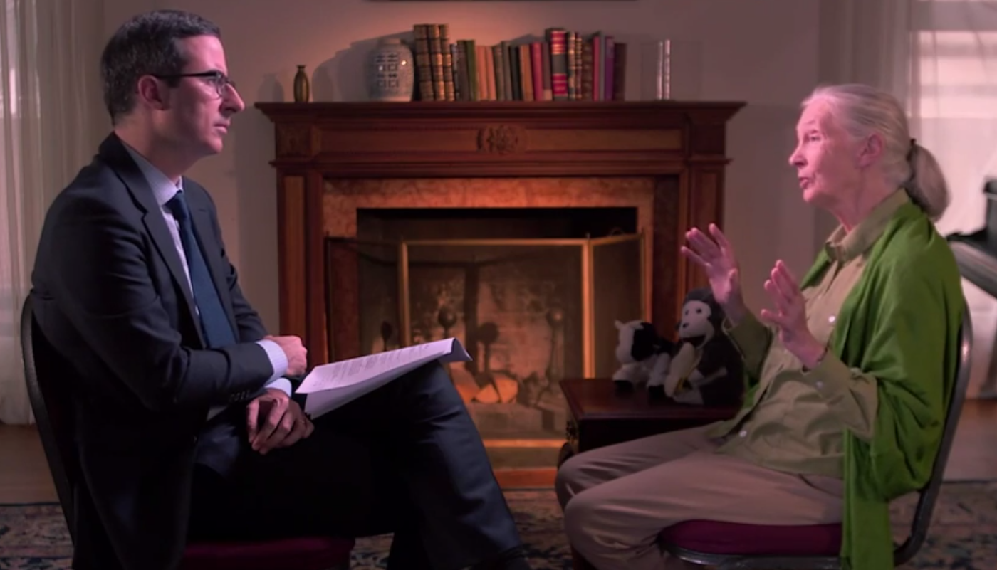 John Oliver interviews Dr. Jane Goodall on "Last Week Tonight" (HBO)